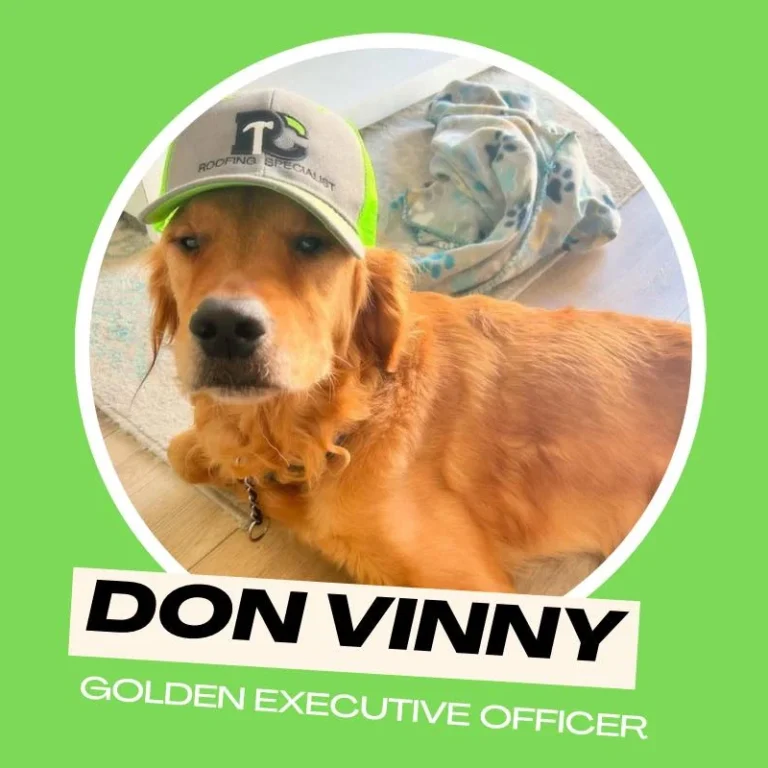 Don Vinny, golden executive officer of Regalbuto Contractors